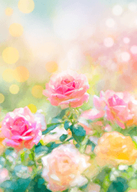 Beautiful rose flower(R2941)