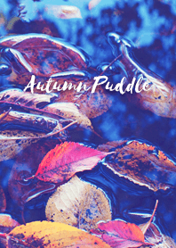 Autumn Puddle