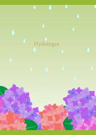 Rain and Hydrangea on moss green