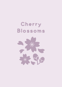 Cherry Blossoms19.PurplePink.