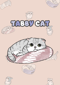 tabbycat9 - sea shell