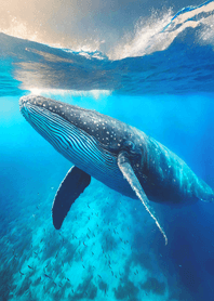 Fantasy tale of the sea31_JP