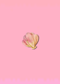Simple seashell 61
