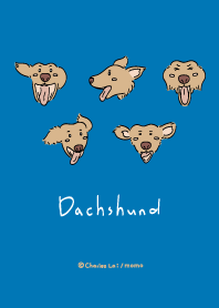 臘腸狗 X 好天氣