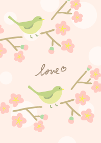 Nightingale early spring26 from Japan