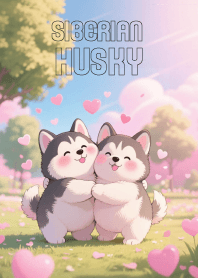Lovely siberian husky Couple Lover