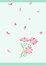 舞い散る花びらとコスモス 青緑