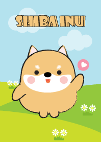 Pretty Fat Shiba Inu Theme