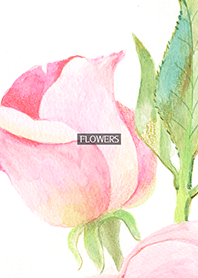 water color flowers_907