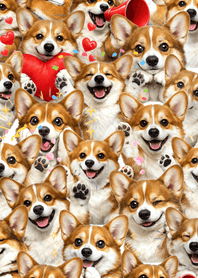 น่ารัก! คอร์กี้