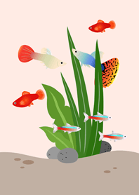 가상 어항!(사쿠라 핑크)