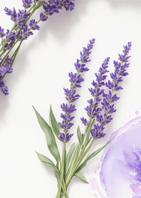 ดอกไม้ประจำวันเกิดวันศุกร์