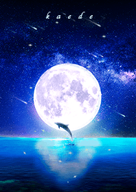 [kaede] dolphin moon night