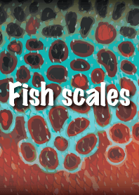 FISH SCALES 魚鱗 2