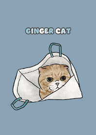 gingercat7 / pale blue