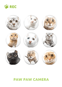 Paw Paw Camera - Green 09