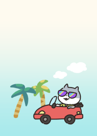 Cat's Summer Vacation