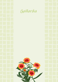 October's birth flower, Gaillardia