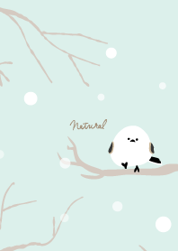 Long-tailed Tit snow17 from Japan