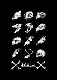 Animal Skull