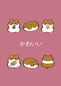 我養的黃金鼠-黃白雙色(玫瑰霧粉)