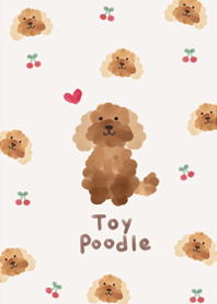 I love fluffy toy poodle8.
