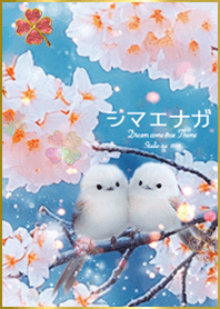 シマエナガと桜✨運気上昇＊⤴︎