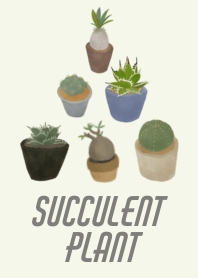 succulent plant!2
