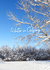 Winter in Calgary (34)