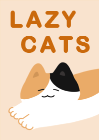 Lazy cat cute