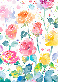 Beautiful rose flower(R4225)