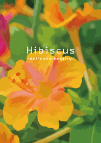 Hibiscus -delicate beautiful-
