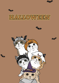 meow's halloween2 / caramel
