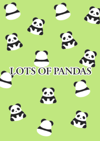 LOTS OF PANDASj-YELLOW GREEN