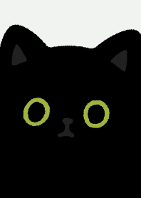 Black cat so black/7