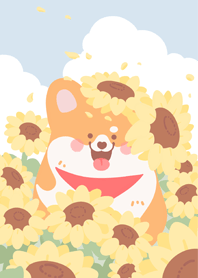 Sunny The Corgi
