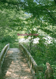 Beautiful-Bridge 30