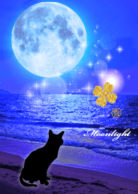 グングン全運気がアップする猫と満月