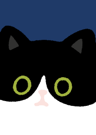 はちわれ猫と黒猫/4