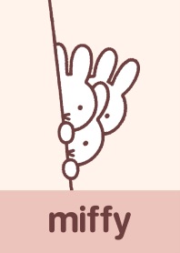 miffy แอบมอง