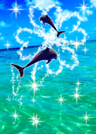 lucky Clover sea dolphin