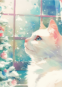 聖誕節望著窗外の白貓❤️