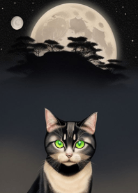 Black cat in the night qVTx5