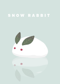 Snow & rabbit