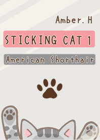 STICKING CAT No.1 American Shorthair