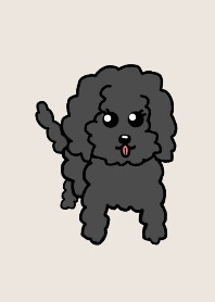 黒プー (クリアベージュ)