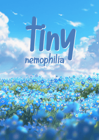 สวนดอกนีโมฟิเลียและท้องฟ้า