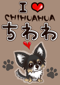 POP CHIHUAHUA LOVE