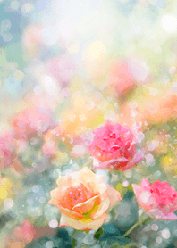 Beautiful rose flower(R2865)