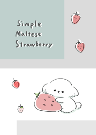 simple maltese strawberry white gray.